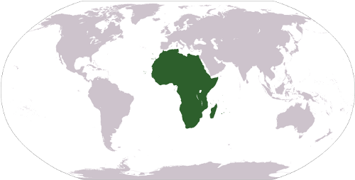 Africa Africa