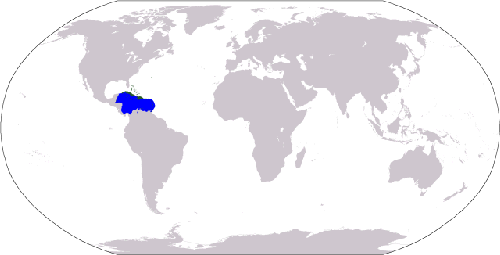Caribbean