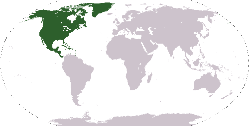 North-America
