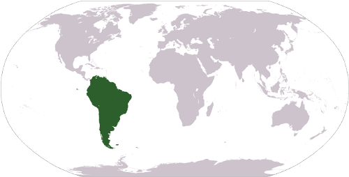 South-America